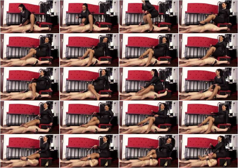 Mistress Ezada Sinn – Aroused to be under My ass  [PANTYHOSE/STOCKINGS, CBT, cock tease]
